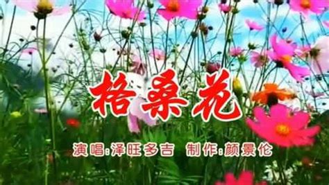 泽旺多吉《格桑花》，藏族歌曲，好听！腾讯视频