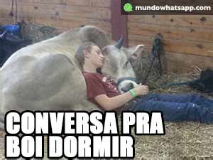 Conversa Para Boi Dormir - Conversa pra boi dormir - Status e Imagens