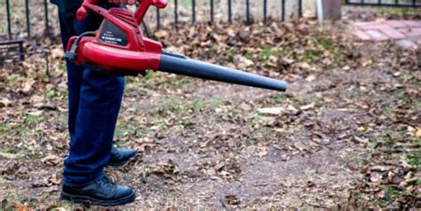 Gas Vs Electric Leaf Blower Which Is Better For Your Yard Pros And Cons