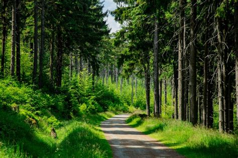 Premium Photo | Country road in sudetes mountains, poland