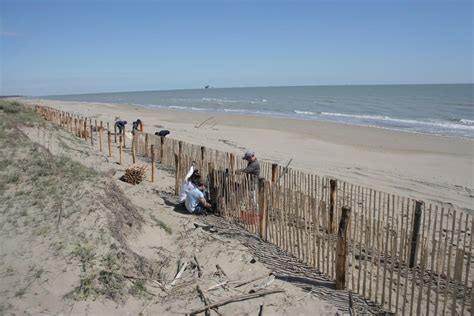 Costruzione E Rafforzamento Delle Dune ADRIADAPT