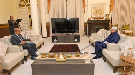 Asif Zardari Meets Pm Shehbaz Sharif