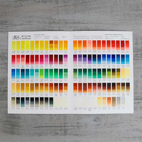 Winsor And Newton Artists Oil Hand Painted Colour Chart Artsavingsclub