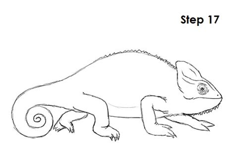 Chameleon Art Drawing Drawing Skill