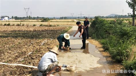 唐河县上屯镇：干群齐心，全力以赴抗旱抢种 唐河县人民政府网