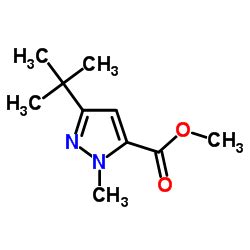 CAS 167408 63 1 Methyl 3 Tert Butyl 1 Methyl 1H Pyrazole 5