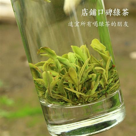 手工生态茶高山老树川茶明前2023新茶四川雅安蒙顶山绿茶虎窝淘