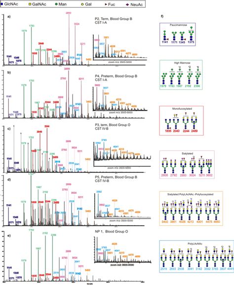 Maldi Tof Mass Spectra M Z Of N Glycans Isolated From Cvf