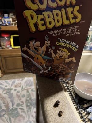 Cocoa Pebbles Recipe Change Dandk Organizer