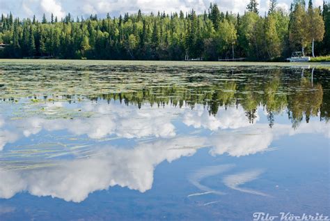 elevation  salcha dr salcha ak usa maplogs