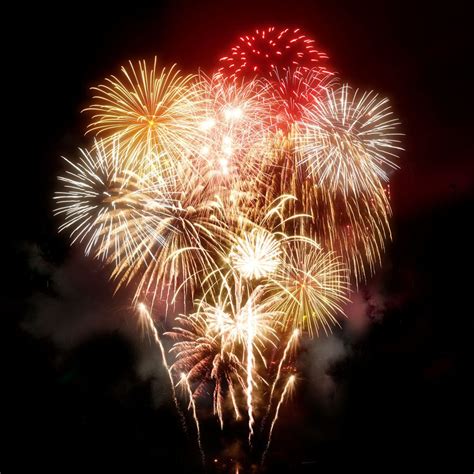 ebern designs beautiful golden fireworks display  wrapped canvas