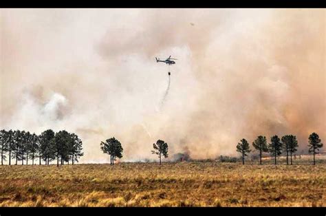 Estiman En Más De 26 000 M Las Pérdidas Que Generaron Los Incendios