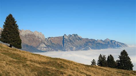 Der Alpstein Im Nebelmeer Fotos Hikr Org