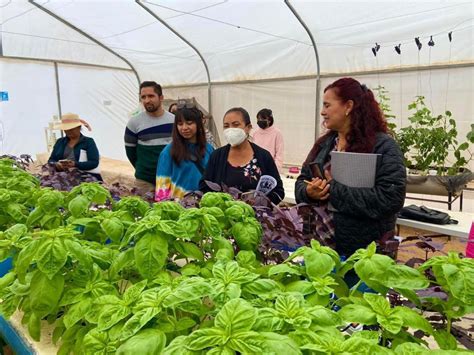 Realiza Inmujer BC taller de agricultura urbana en San Quintín