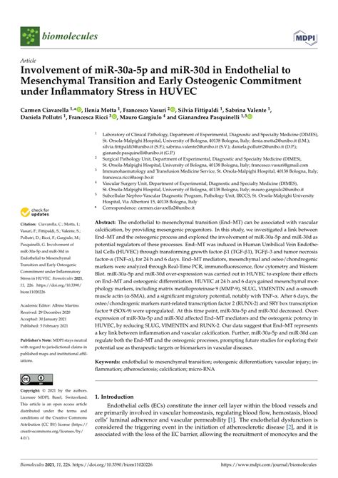 Pdf Involvement Of Mir A P And Mir D In Endothelial To