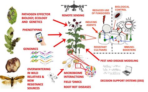 Plant Diseases Wayne County Integrated Pest Management