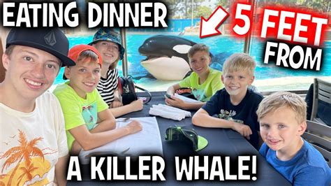 Exclusive Dine With ORCAS Experience YouTube