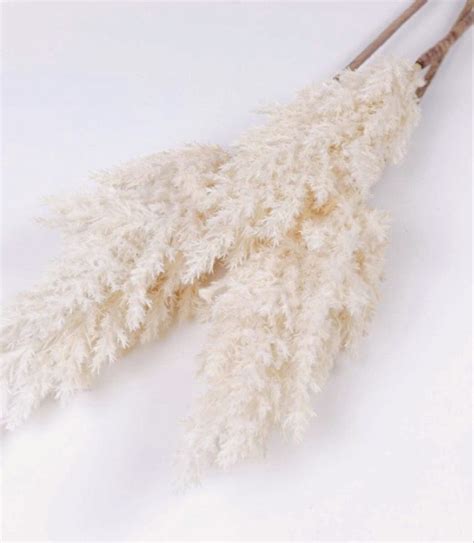 Artificial Pampas Grass Spray Etsy