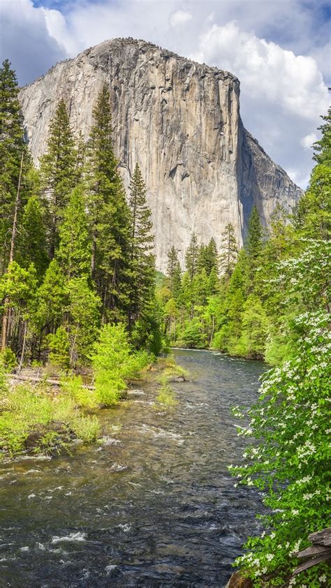 G Ra El Capitan W Parku Narodowym Yosemite Tapeta Na Telefon