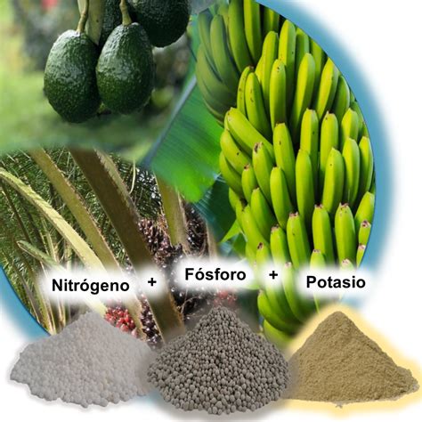 Fertilizantes Para Suelos Mineragro Acondicionadores De Suelos