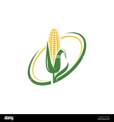 Agriculture Corn Vector Icon Design Template Stock Vector Image And Art