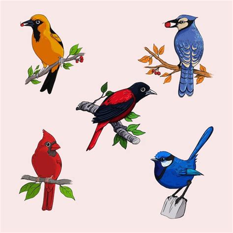 Colección de diferentes tipos de aves Vector Premium generado con IA