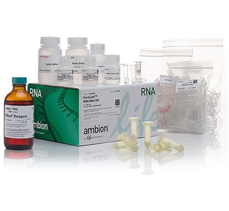 Invitrogen Trizol Plus Rna Purification Kit And Phasemaker Tubes