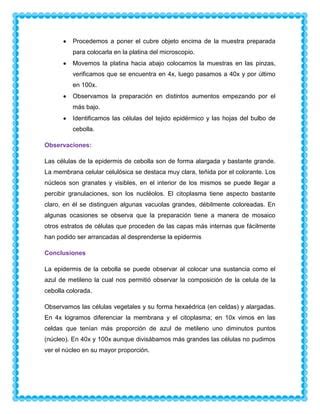 Practica De Laboratorio N Iologia Pdf