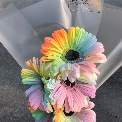 Rainbow Gerbera Daisy Bouquet – Floral Passion SG