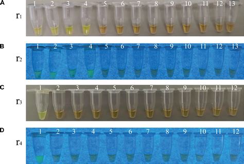 Frontiers Simple Visualized Detection Method Of Virulence Associated