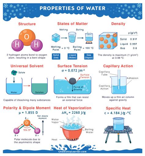 What In The Water A Guide For Middle And High School Classrooms