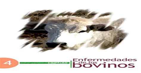 Enfermedades De Los Bovinos PDF Document