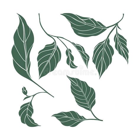 Chili Pepper Leaf Icons Set Hot Pepper Color Silhouette Stock Vector