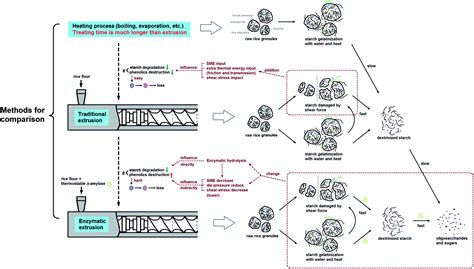 Dynamics Of Rapid Starch Gelatinization And Total Phenolic