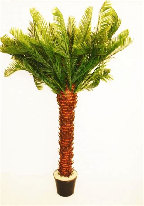 Palm Tree Plastic 6ft Theme Prop Hire