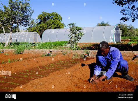 Small Scale Farmers South Africa Hi Res Stock Photography And Images