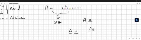 SOLVED: Interpreting Data As shown in the Punnett square below ...