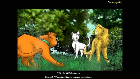 Warrior Cats Firestar X Tigerstar