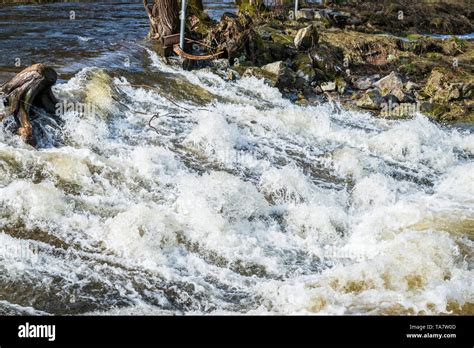 Einen Reissenden Fluss Bei Hochwasser Im Frühjahr Deutschland