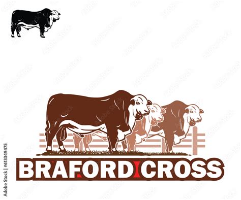 Great Braford Cattle Logo Silhouette Of Big Bull Breeds Standing