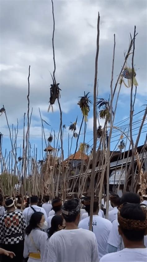 Mekotek Tradisi Penolak Bala Dan Simbol Kemenangan Desa Munggu Bali