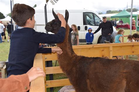 Les Abrets en Dauphiné Le monde paysan à lhonneur pour la fête de la