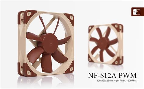 Amazon Noctua NF S12A PWM Premium Quiet Fan 4 Pin 120mm Brown