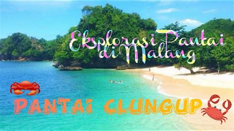 Pantai Clungup Dan Hutan Mangrove Pentingnya Konservasi Untuk