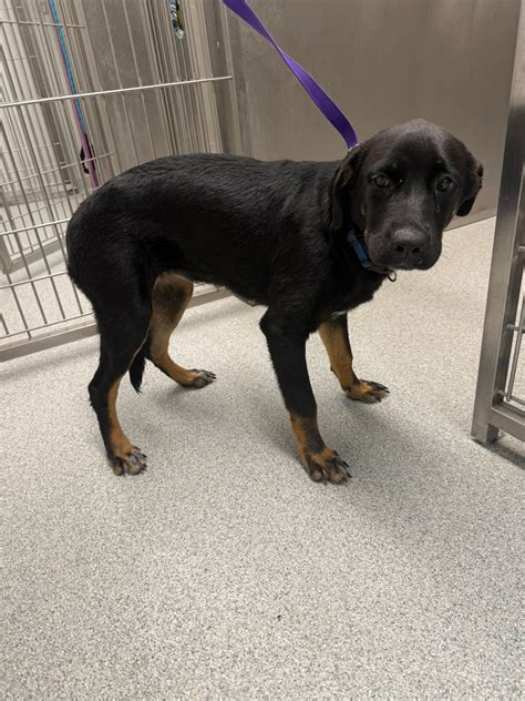 nueces county tx property search 6