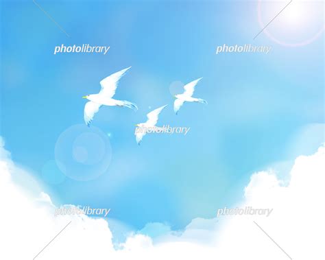 Photolibrary