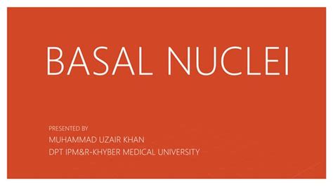 Basal nuclei | PPT