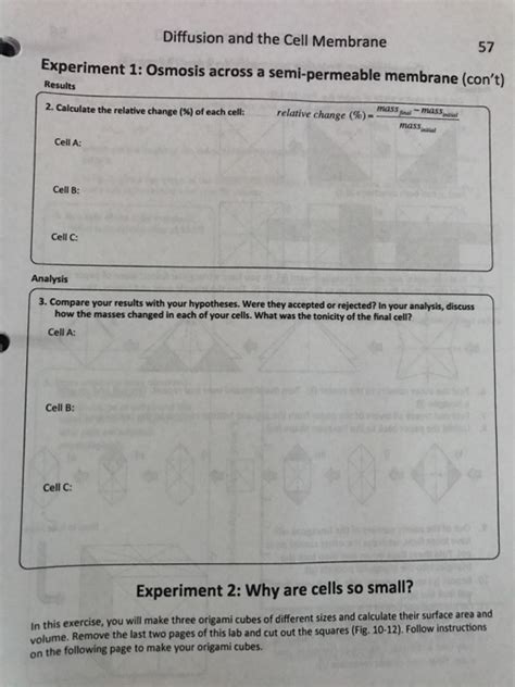 Diffusion and the Cell Membrane 57 Experiment 1: | Chegg.com