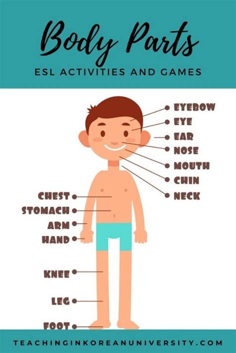 Parts Of The Body Esl Activities Games Worksheets And Lesson Plans