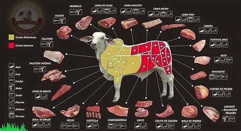 Guia Completa De Los Cortes De Carne De Res Conoce Sus Tipos Y Usos